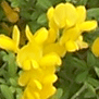 ��